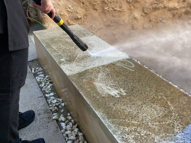 Best Deck Cleaning Services  in Lexington, MN