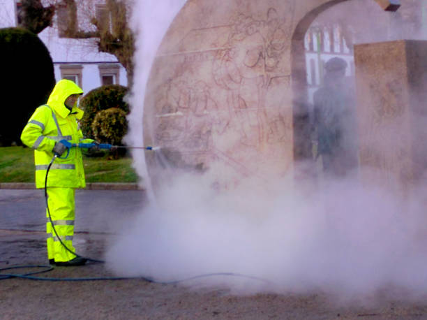 Best Residential Pressure Washing Services  in Lexington, MN