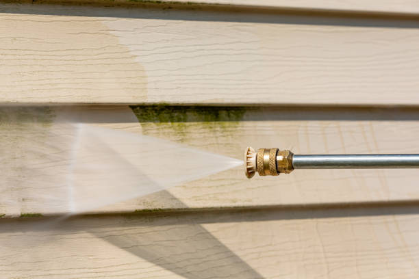 Best Power Washing Near Me  in Lexington, MN